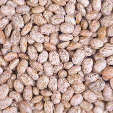 Frijol Pinto Frontier