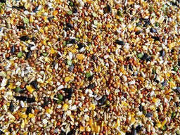 [CT010] Grano Scratch